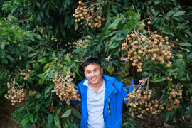 Dịp lễ 30.4 và 1.5: Đến với những vườn trái cây trĩu quả 