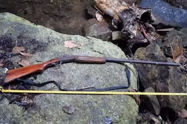 Anh mang súng đi săn thú rừng để súng cướp cò, đạn găm vào ngực em 