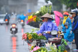 Thời tiết ngày 15/3: Bắc Bộ có mưa phùn, trời nồm ẩm