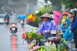 Thời tiết ngày 15/3: Bắc Bộ có mưa phùn, trời nồm ẩm