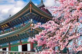 Việt Nam có đại diện trong top 10 điểm đến 'đẹp, rẻ và an toàn' 