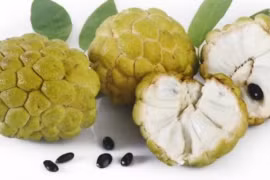 Dùng rượu ngâm hạt na diệt chấy để gội đầu, hai mẹ con bỏng giác mạc