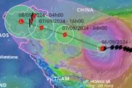 Infographic: Diễn tiến siêu bão YAGI (bão số 3)