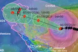Infographic: Diễn tiến siêu bão YAGI (bão số 3)