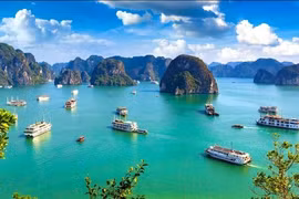 Đi thuyền trên vịnh Hạ Long, Lan Hạ là trải nghiệm thú vị nhất thế giới