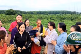 'Sư Thích Minh Tuệ' mong được yên tĩnh tu hành