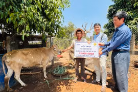 Chung tay xoa dịu nỗi đau da cam