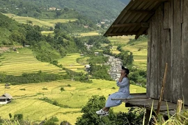 Sa Pa mùa lúa chín níu chân du khách không nỡ rời xa