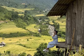 Sa Pa mùa lúa chín níu chân du khách không nỡ rời xa