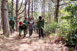 Siết chặt quản lý, bảo vệ rừng giáp ranh