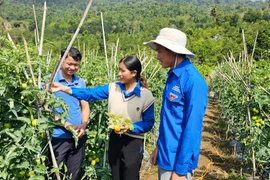 Thanh niên người Dao vượt khó làm kinh tế giỏi