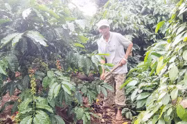 Khơi dậy ý chí vươn lên thoát nghèo 