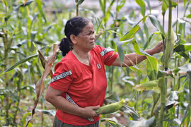 Công an Lâm Đồng thông tin về vụ việc ''vay 270 triệu, trả hơn 4 tỷ đồng''
