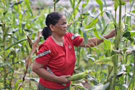 Công an Lâm Đồng thông tin về vụ việc ''vay 270 triệu, trả hơn 4 tỷ đồng''