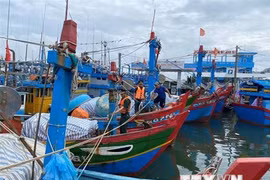 Các địa phương chủ động ứng phó với bão số 1 và mưa lũ