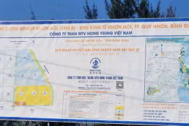 Bình Định tạm hoãn xuất cảnh một tổng giám đốc quốc tịch Trung Quốc