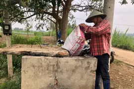 Xử lý rác thải nguy hại trong sản xuất nông nghiệp: Cần giải pháp căn cơ