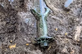 Khai quật thanh kiếm 3.000 năm tuổi còn mới nguyên ở Đức