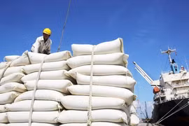 Biến động thị trường gạo