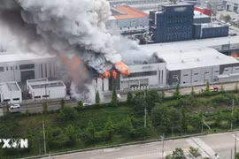 Không có công dân Việt Nam thương vong trong vụ cháy nhà máy pin ở Hàn Quốc