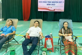 Tôn vinh các gia đình hiến máu tình nguyện