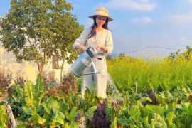 Cô gái chi 300 triệu đồng biến khu vườn đẹp tựa các đồng quê ở châu Âu