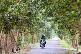 Trên những cung đường biên giới Tây Nam - Bài 3: Sắc xanh miền biên viễn