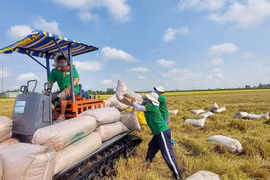 Xuất khẩu gạo quý I-2024 tăng 42% 