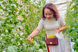 Nông nghiệp kết hợp du lịch trải nghiệm: Nhiều dư địa