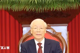 Tổng Bí thư Nguyễn Phú Trọng điện đàm với Tổng thống LB Nga Vladimir Putin