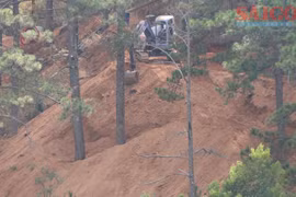 Đà Lạt: Hàng trăm cây thông nguy cơ bị 'bức tử' tại dự án xây dựng khu nghỉ dưỡng Núi Hoa