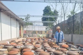 Về làng tương gần 200 năm danh tiếng