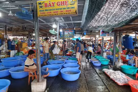 Tha hồ tắm biển, mua hải sản ở làng chài cách TP.HCM vài giờ chạy xe