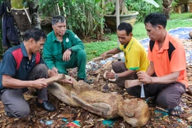 Nghệ nhân ưu tú trao truyền di sản văn hóa