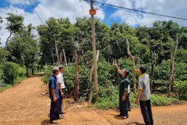 “Ánh sáng, camera và tiếng kẻng an ninh” góp phần bảo đảm bình yên thôn làng