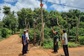 “Ánh sáng, camera và tiếng kẻng an ninh” góp phần bảo đảm bình yên thôn làng