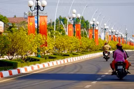 Đường hoa mai dài 6,4km được cấp bằng kỷ lục Việt Nam