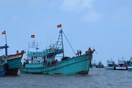 Bên 9 miệng Rồng - kỳ cuối: Sứ mệnh Trần Đề