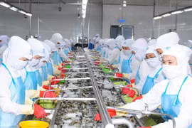 Phó Thủ tướng Chính phủ Lê Minh Khái chỉ đạo xem xét, gỡ khó cho doanh nghiệp thủy sản