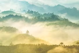 Núi chiều mây phủ