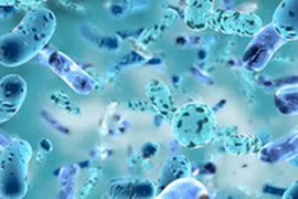 Thanh Hóa: Một bệnh nhi mắc Whitmore tử vong