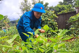 Dân quân thường trực sẵn sàng xử lý các tình huống phát sinh