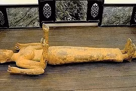 Bức tượng 'Nữ thần Durga' đã được trao trả cho Việt Nam