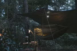 Nhớ mưa rừng và chiếc móc võng