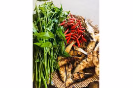 Vị đắng trong ẩm thực vùng “chảo lửa”