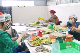 Tạo đột phá trong sản xuất rau, hoa và cây ăn quả - Kỳ 2: Chưa tương xứng với tiềm năng