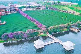 Những điểm đến mới ở Lâm Hà