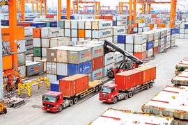 Triển khai các nhiệm vụ, giải pháp phát triển thị trường trong nước, thúc đẩy xuất khẩu