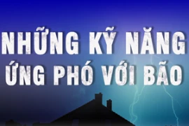 Infographic: Người dân cần làm gì trong và sau cơn bão Yagi (bão số 3)?