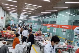 Bác sĩ hối hả cấp cứu, điều trị bệnh nhân trong bão Yagi